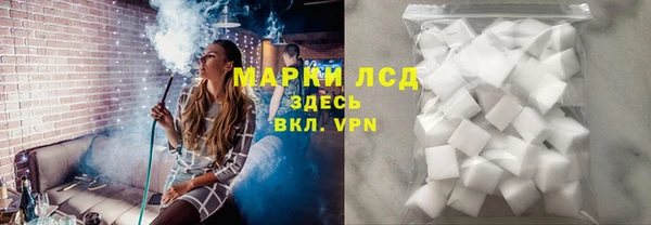 СК Инта